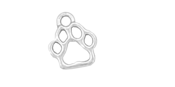 Charm, 7 Identical Paws