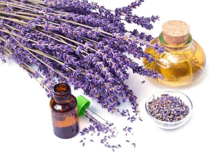 Lavandin Essential Oil10 ml (1/3 oz). 100% Pure, Undiluted