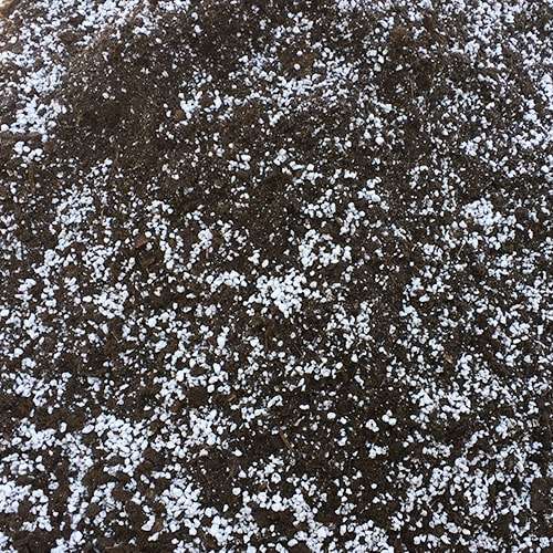 Peat-Perlite 50/50 Soilless Mix - 20L (approx. 4kg)