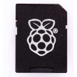 Raspberry Pi Micro SD to SD Adapter