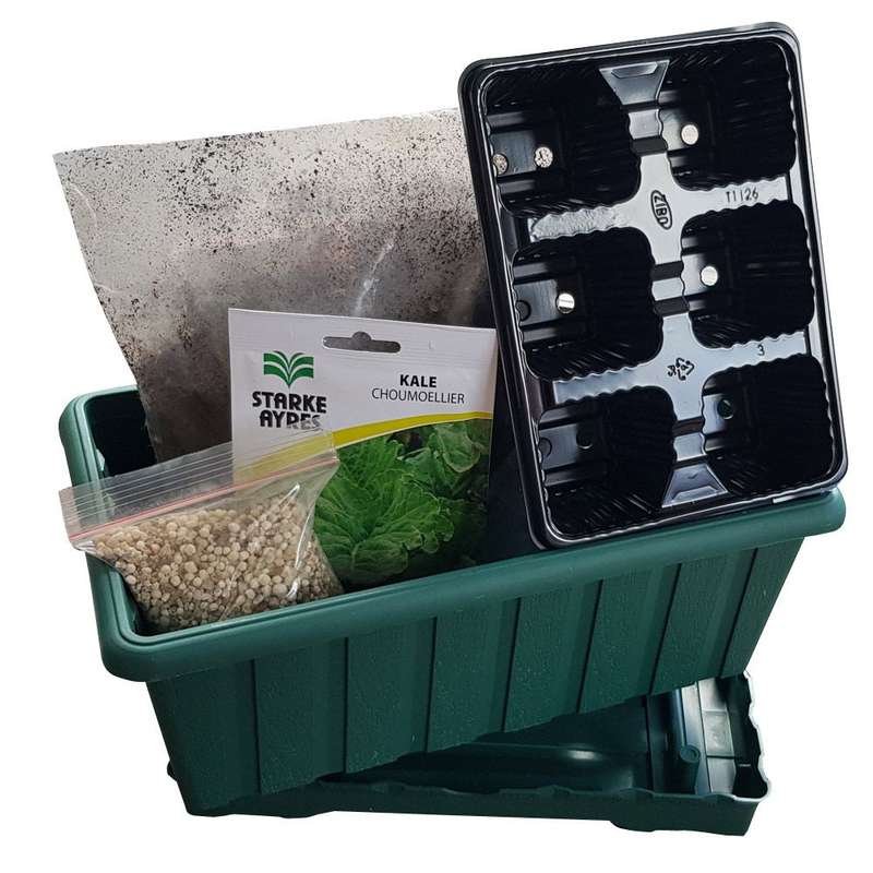 Kale Seeds Grow Kit With Pot