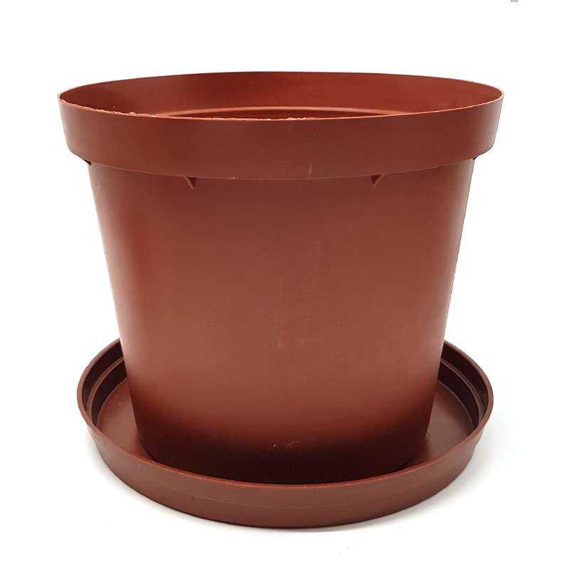 Palm Gardens Round Plastic Plant Pot Drip Tray  - Small to X-Large