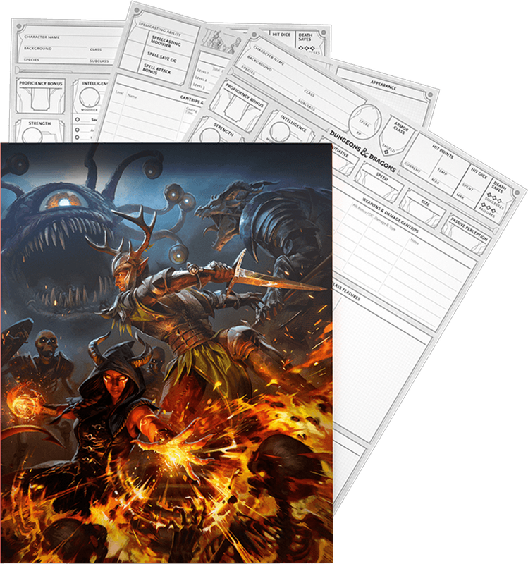 Dungeons & Dragons - 2024 Character Sheets (New) - Wizards of the Coast 500G