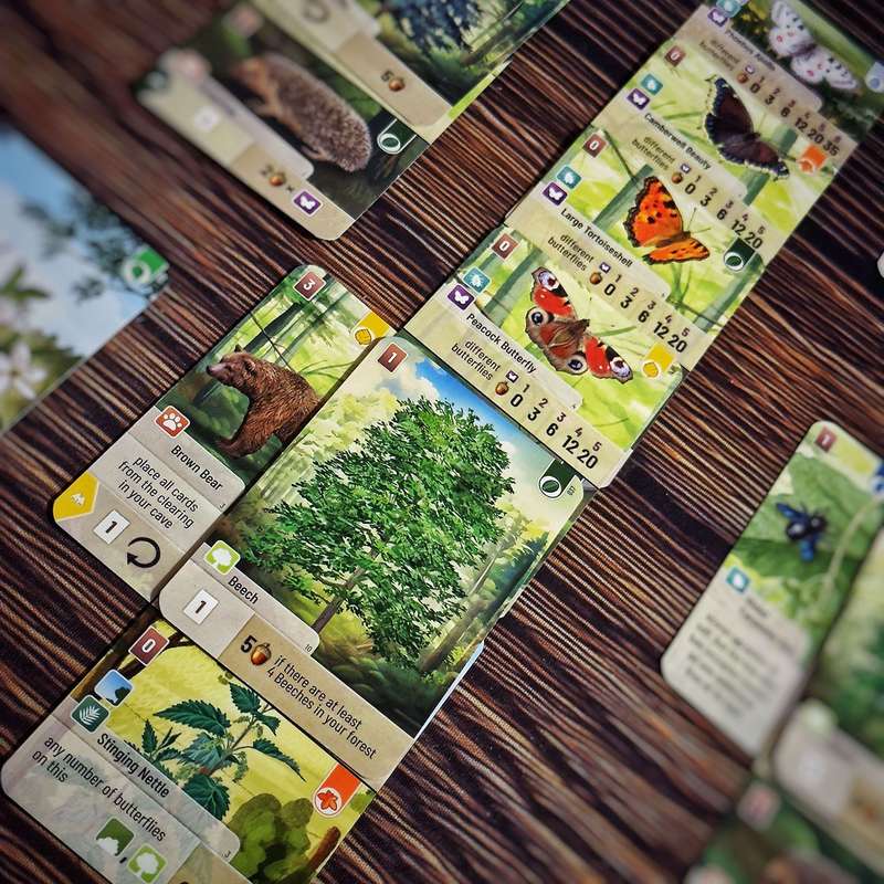 Forest Shuffle: Woodland Edge Expansion (New) - Lookout Games 200G