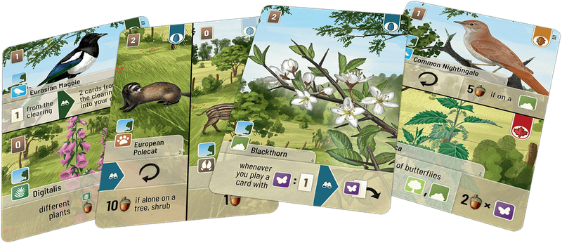 Forest Shuffle: Woodland Edge Expansion (New) - Lookout Games 200G