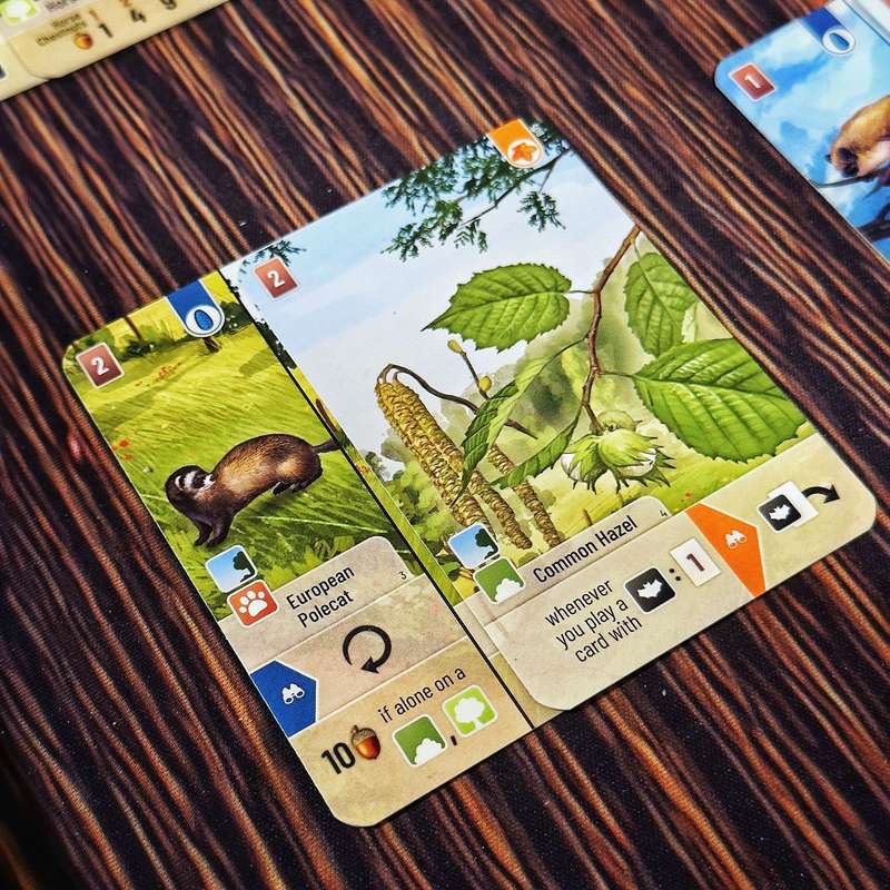 Forest Shuffle: Woodland Edge Expansion (New) - Lookout Games 200G