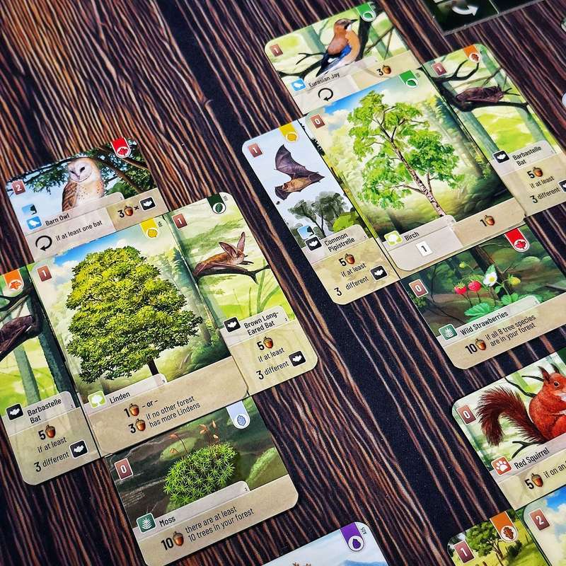 Forest Shuffle: Woodland Edge Expansion (New) - Lookout Games 200G