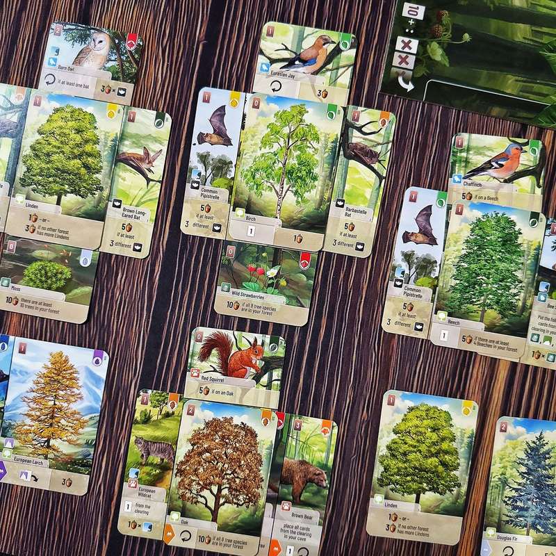 Forest Shuffle: Woodland Edge Expansion (New) - Lookout Games 200G