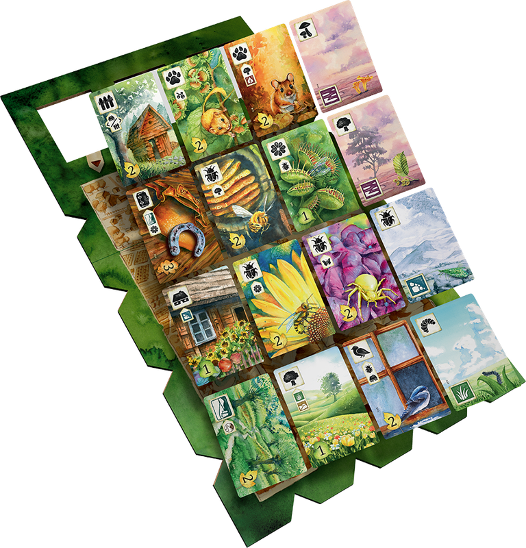 Meadow (New) - Rebel Studio 1800G