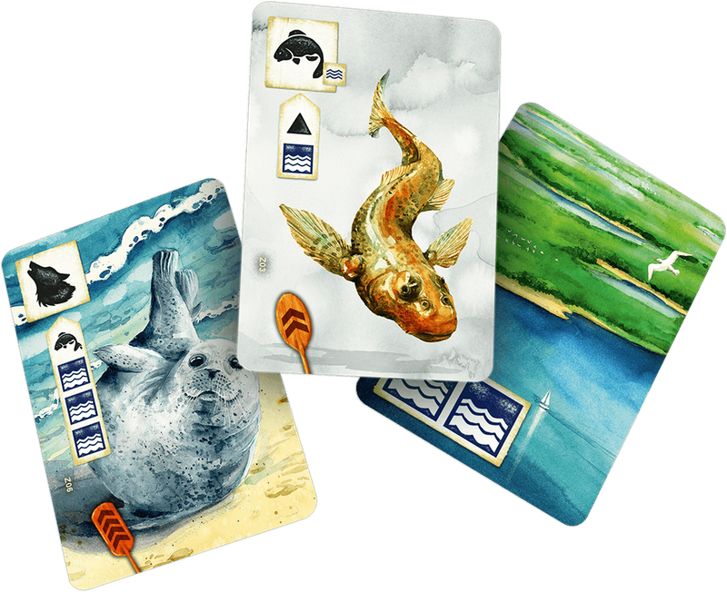 Meadow: Downstream Expansion (New) - Rebel Studio 1000G