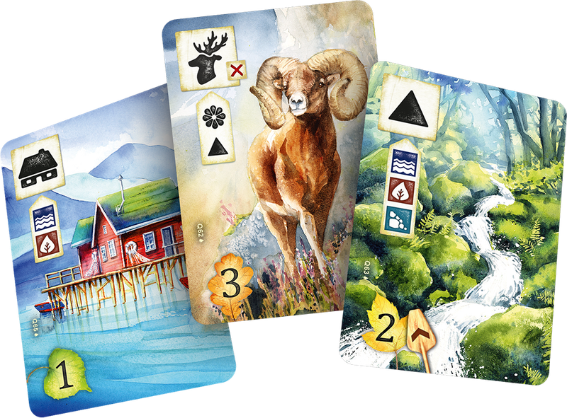 Meadow: Downstream Expansion (New) - Rebel Studio 1000G