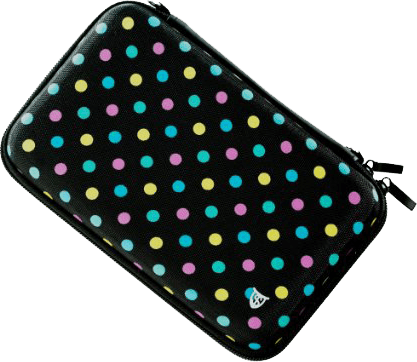 Nintendo DS / 3DS Carrying Case - Generic (DS / 3DS)(Pwned) - Various 150G