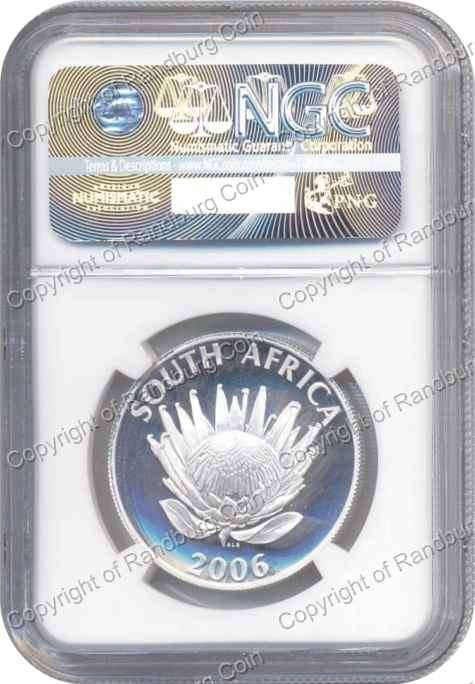 2006_R1_TUTU_PF_70_Slabbed_rev.jpg