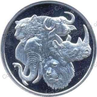 1oz_Silver_99.9Ag_Big_5_Medallion_ob.jpg