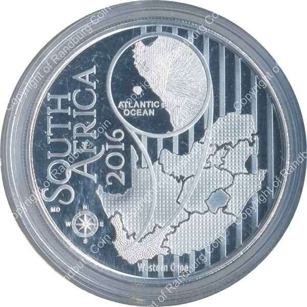 2016_R2_Silver_Proof_Man_and_the_Bio_Fossils_Cape_West_Coast_Coin_rev.jpg