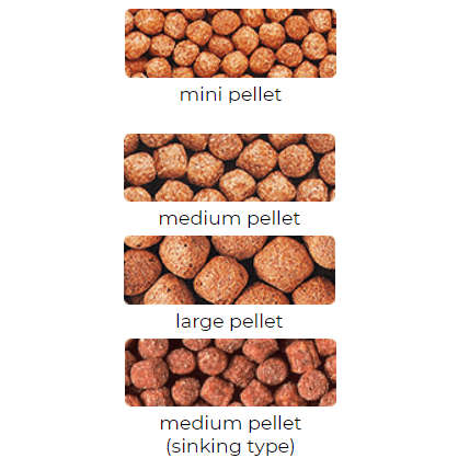 Hikari Wheat-Germ Mini - 500g