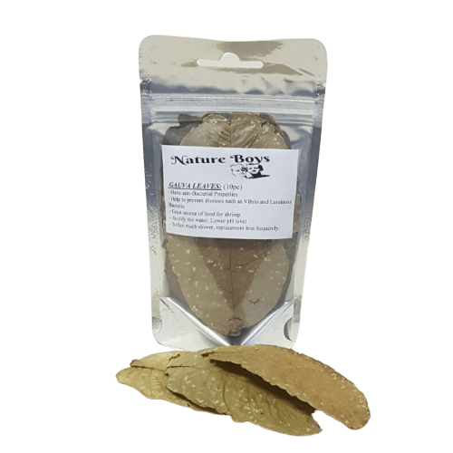 Guava Leaves (10pc)
