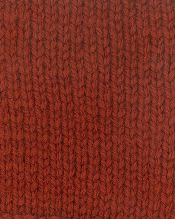 Charity Double Knit Plain 100G Colour 194 Cognac