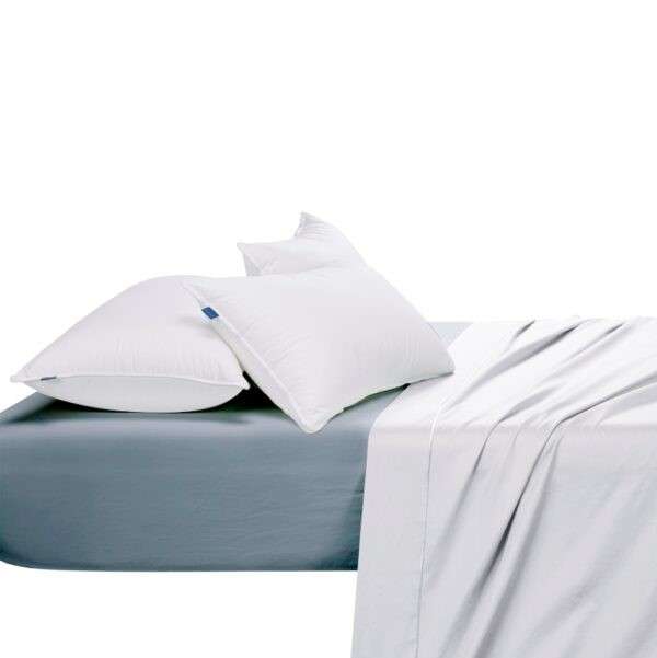 Egyptian Cotton 300 Thread Count Fitted Sheet - Duck Egg