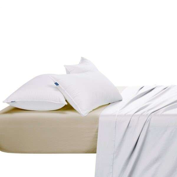 Egyptian Cotton 300 Thread Count Fitted Sheet - Stone