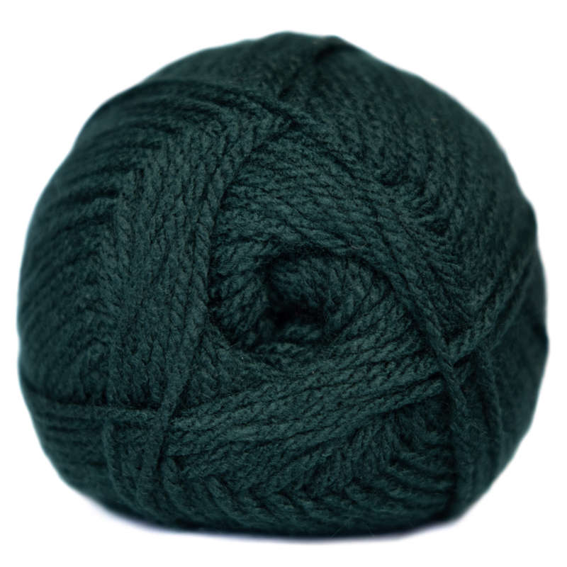 Charity Chunky Plain 100G Colour 024 - Bottle