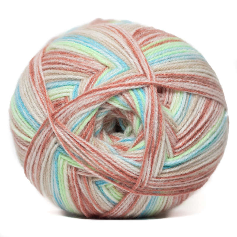 Charity Double Knit Print -300g -534 Amazon Adventure