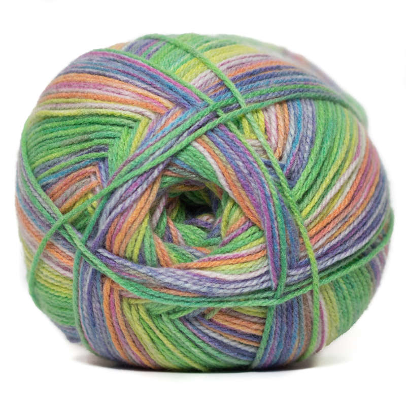 Charity Double Knit print -300g -543 Brasilia -Bash