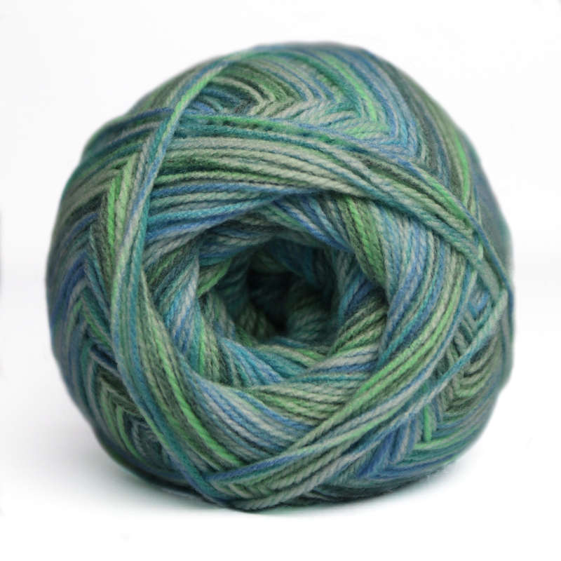 Charity Double Knit print -300g -636 Blackyard jungle