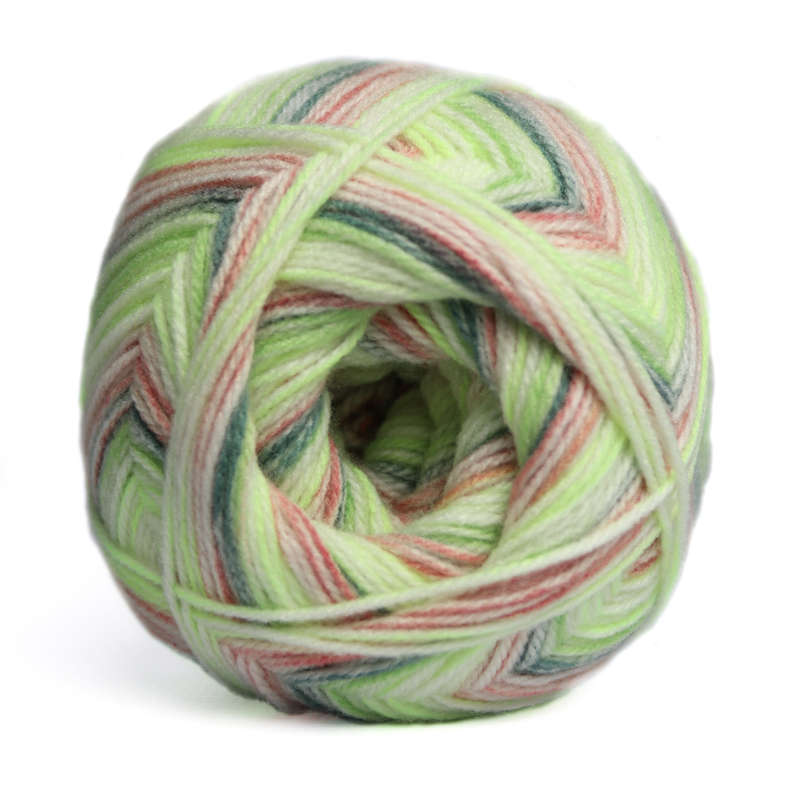 Charity Double Knit print -300g -639 Alligator Alley