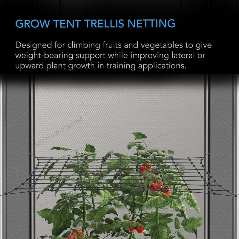 AC INFINITY GROW TENT TRELLIS NETTING, FLEXIBLE ELASTIC CORDS, 4X4 ( 1.2M X 1.2M )