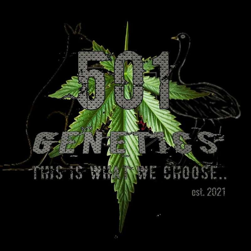 501 Genetics - BP1_Limited (Photo Fem)