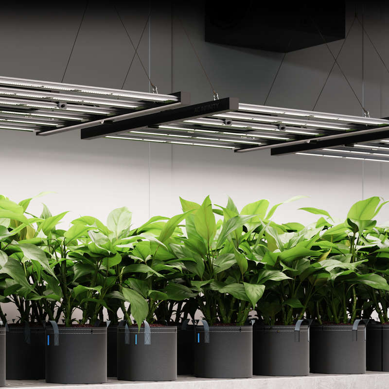 AC INFINITY IONFRAME EVO8, SAMSUNG LM301H EVO COMMERCIAL LED GROW LIGHT, 730W, 5X5 FT.