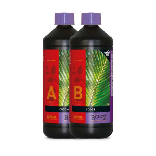 Atami Bcuzz Coco A + B Set