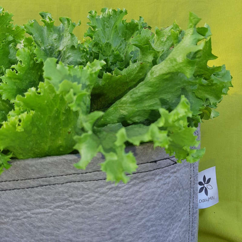 Grow Bags