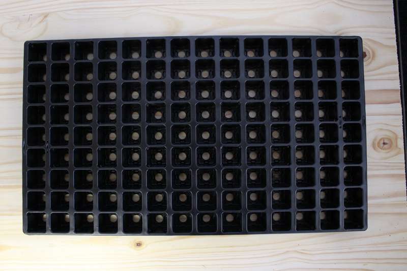 Jiffy Tray (60 or 126 Cavities)