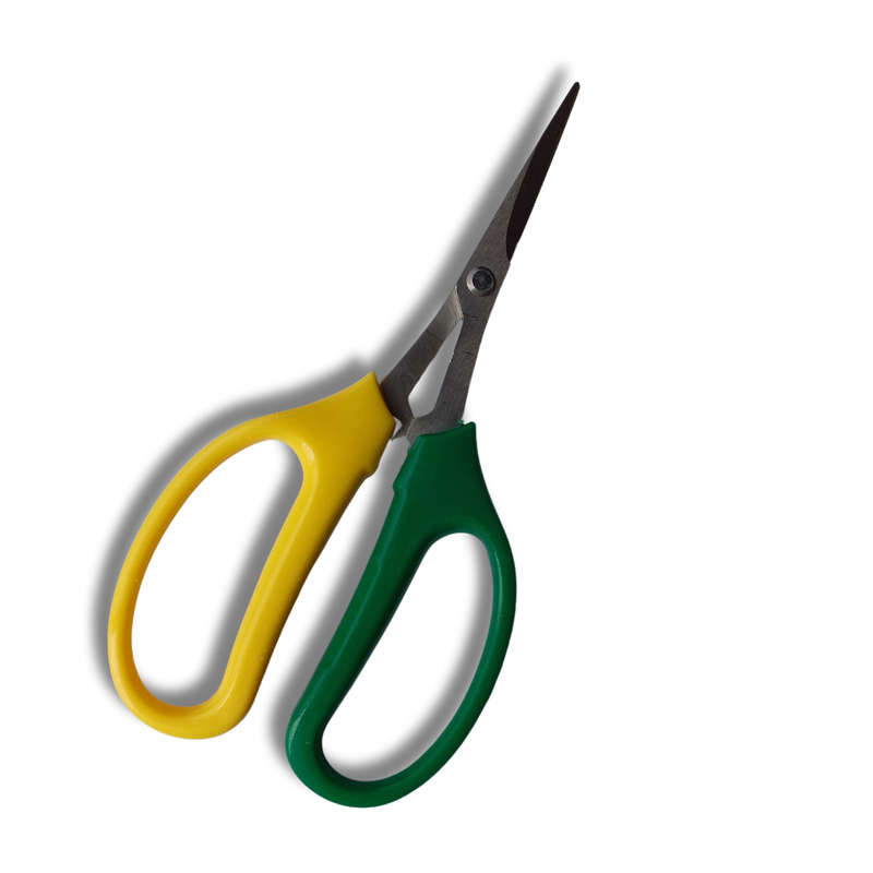 Grape Scissors