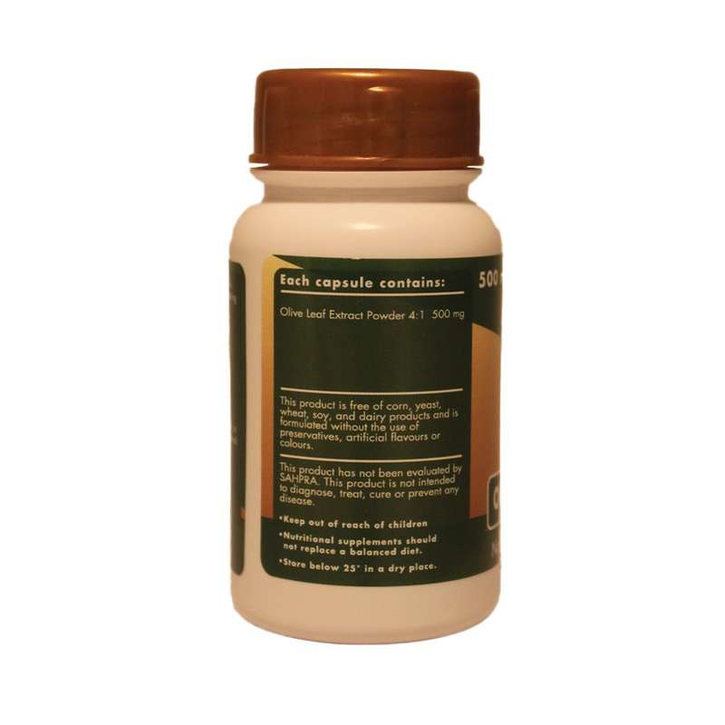 Sally T. Olive Leaf Extract 4:1, 500mg/capsule, 60 Capsules - Immunity Protection