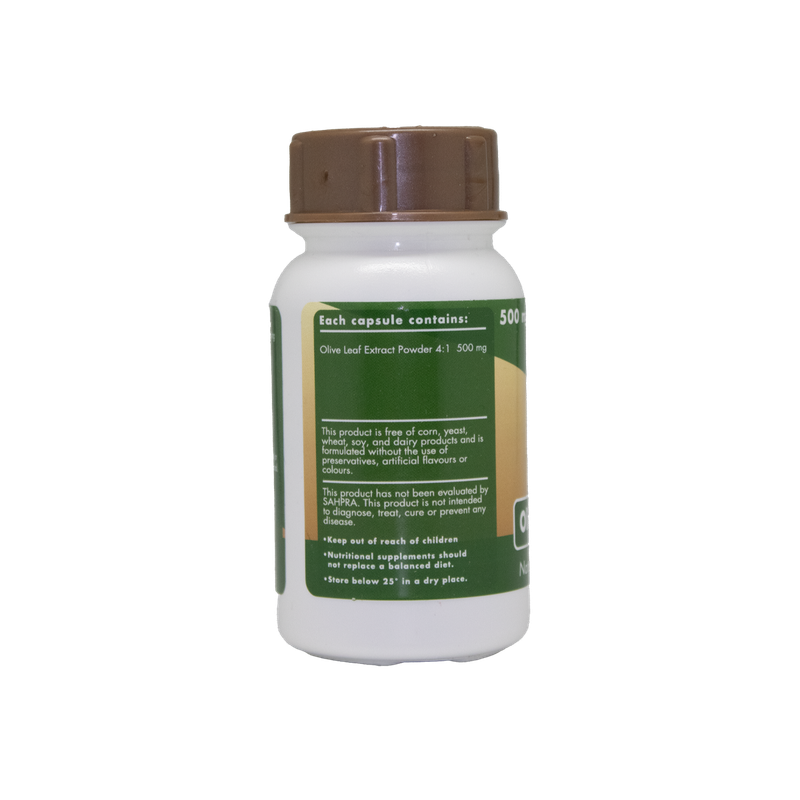 Sally T. Olive Leaf Extract 4:1, 500mg/capsule, 60 Capsules - Immunity Protection