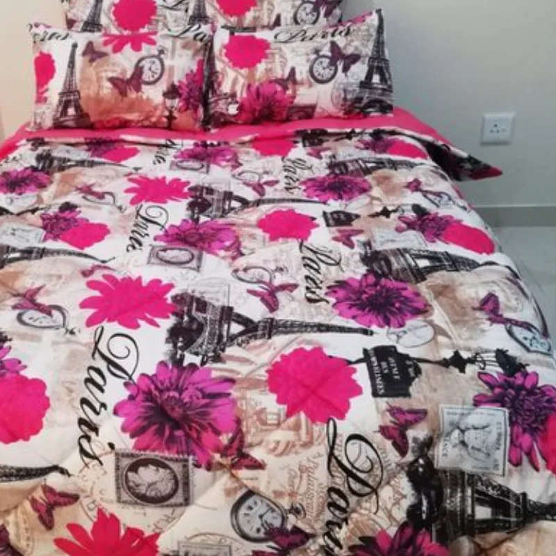 5 Piece Quilted Comforter Pink Paris Set - Queen