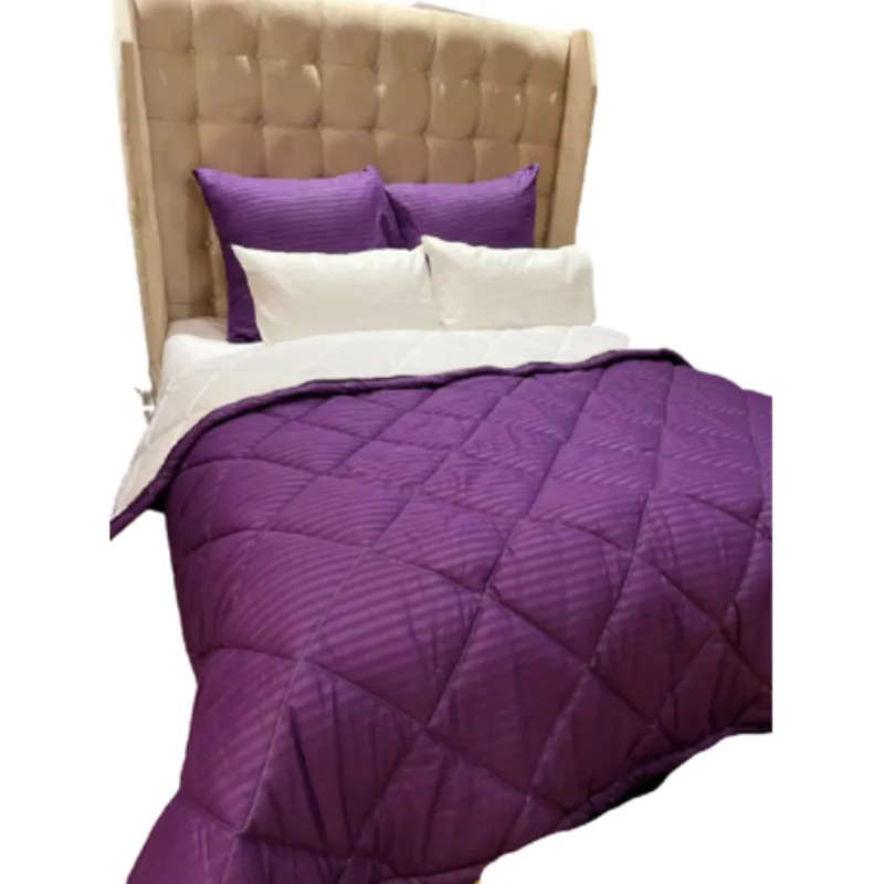 5 Piece Reversible Comforter 09 - Queen