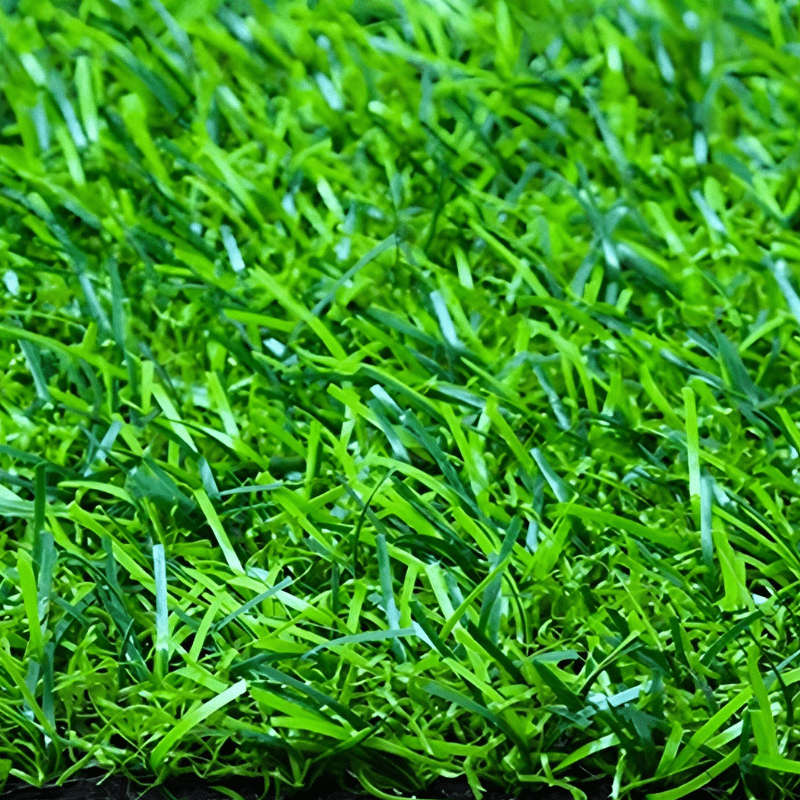Artificial Grass Turf 20mm Thick - 20m2 (2x10)