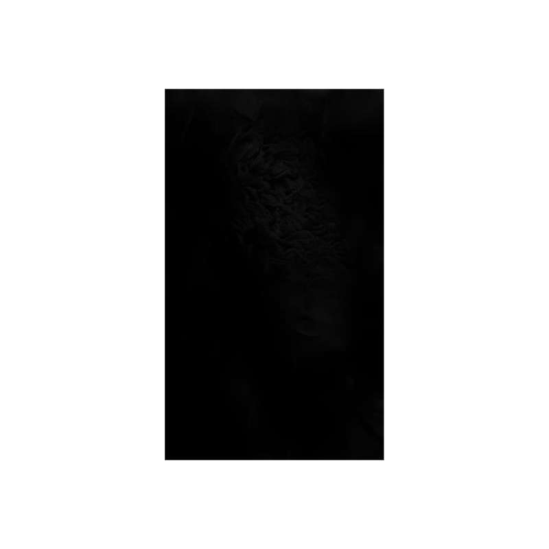 Shaggy Rug - (Size: 160 x 230cm)