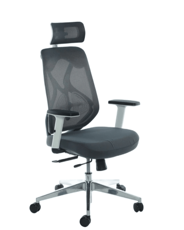 SMTE Office Chairs - Ergonomic Executive Mesh with Headrest - Grey with keychain