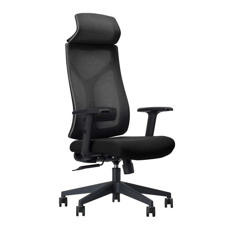SMTE Office Chairs - Ergonomic Executive Mesh with Headrest - Black with keychain