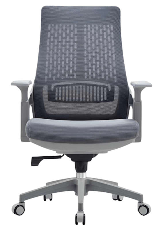 SMTE Ergonomic Home Office Chair - Grey with keychain