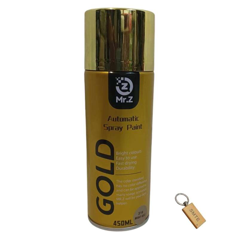 SMTE Automatic Spray Paint System 450ml- sk-h3 +Smte Keyring with keychain