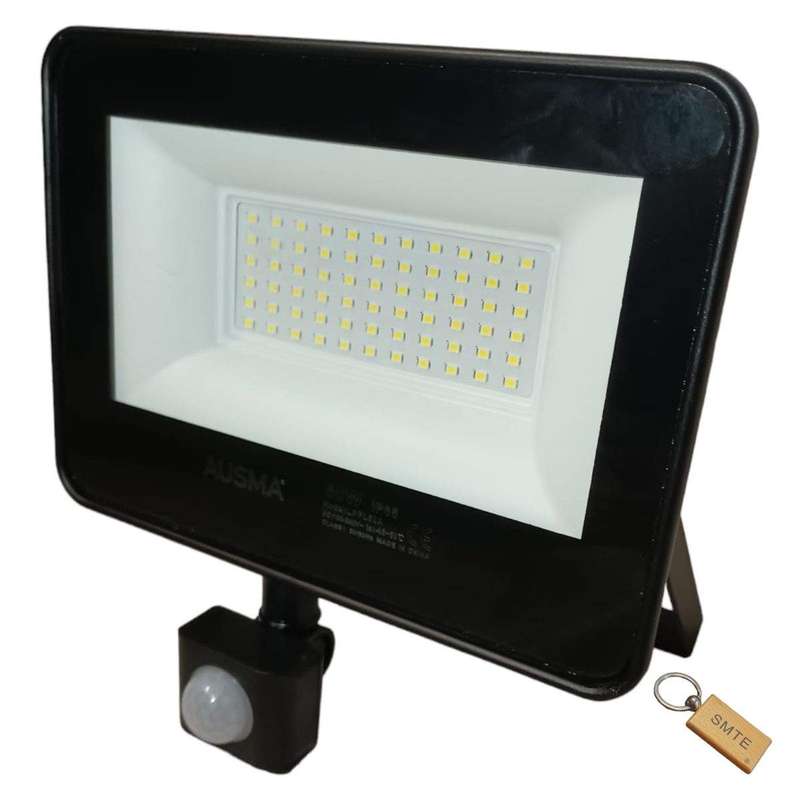 SMTE 50W Floodlight with Sensor for Reliable Outdoor Lighting-sk-d1+Smte keyring with keychain