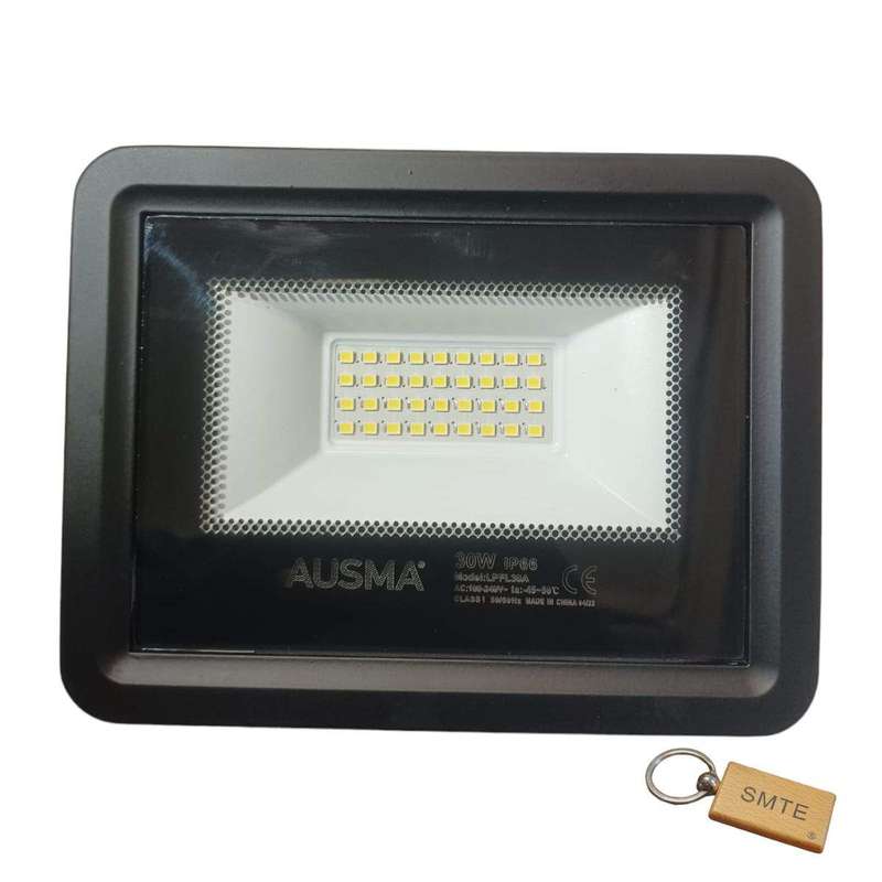 SMTE 30W Floodlight for Bright and Energy-Efficient Lighting-sk-d1+Smte Keyring with keychain