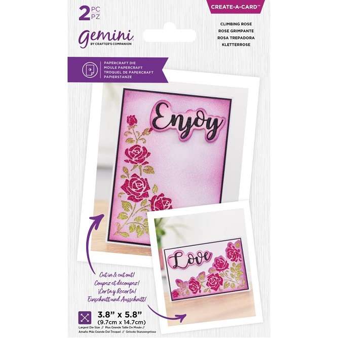 CC - Climbing Rose