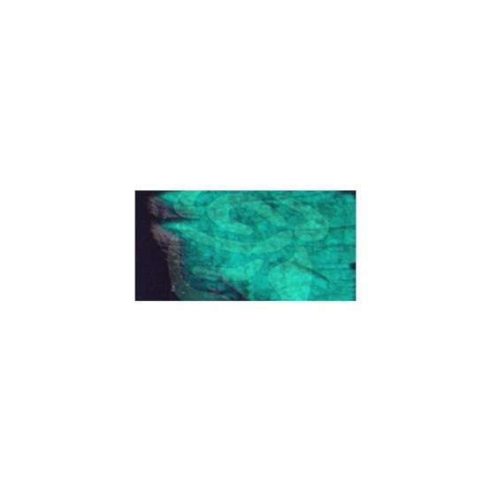Prima - Acrylic Paint - Emerald
